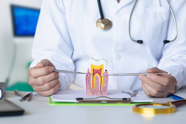 Best Emergency Dental Care for Trauma or Injury in Payson, AZ